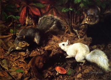 William Holbrook Painting - Squirrels known as The White Squirrel William Holbrook Beard